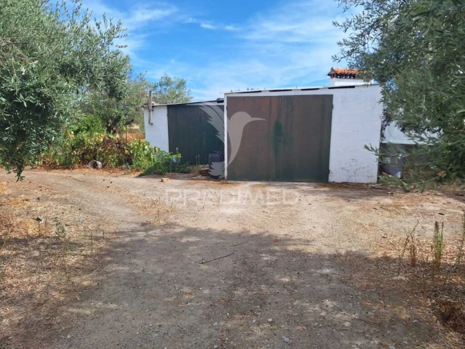 Quinta T3 para Venda em Urra Foto 8