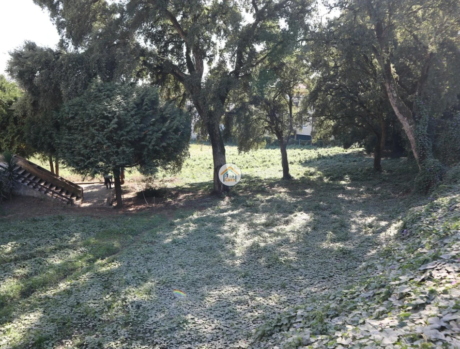 Terreno para Venda em Requião Foto 11