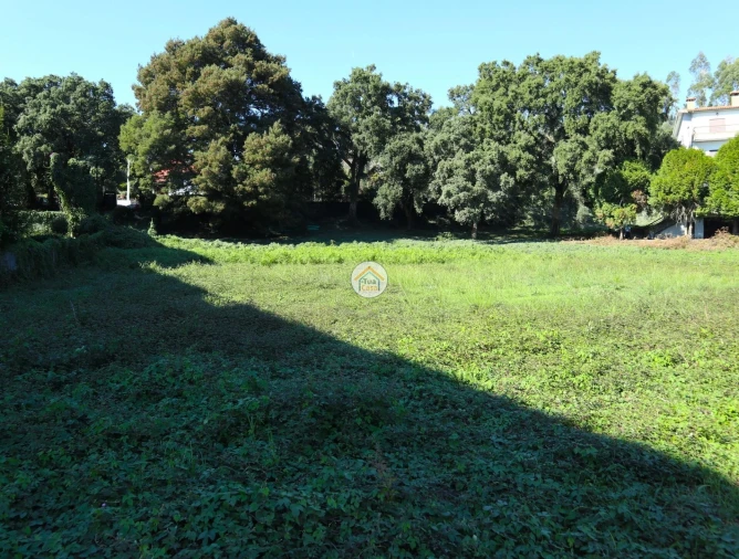Terreno para Venda em Requião Foto 3
