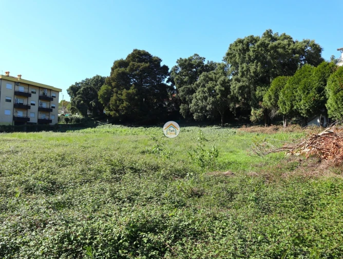 Terreno para Venda em Requião Foto 2