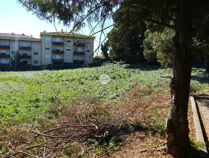 Terreno para Venda em Requião Foto 13