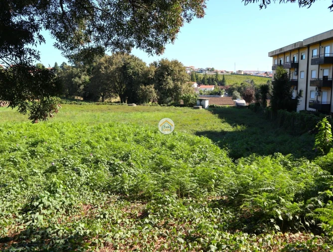 Terreno para Venda em Requião Foto 1