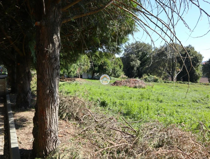 Terreno para Venda em Requião Foto 12
