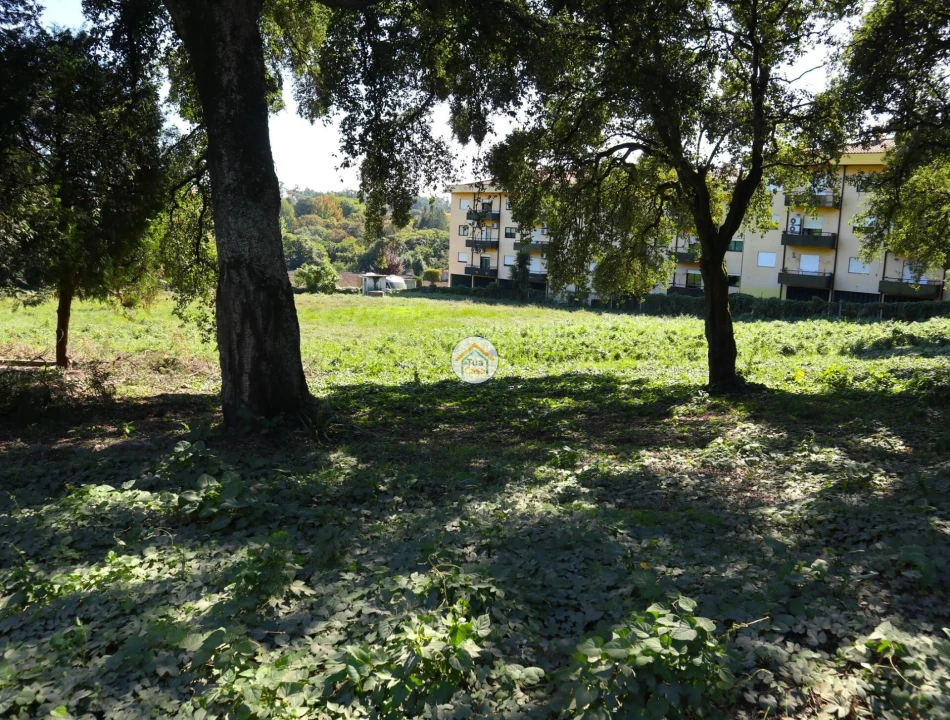 Terreno para Venda em Requião Foto 14