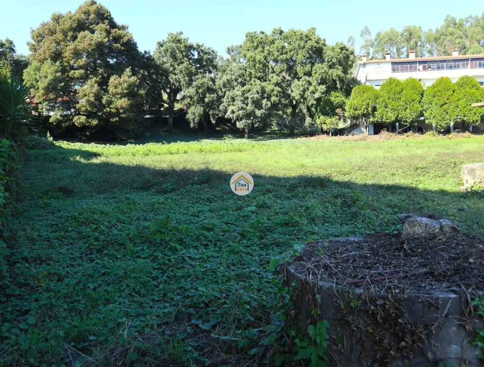 Terreno para Venda em Requião Foto 2