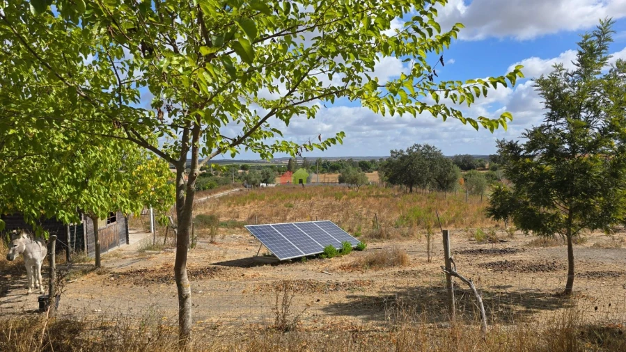 Quinta T3 para Venda em Foros de Vale de Figueira Foto 50
