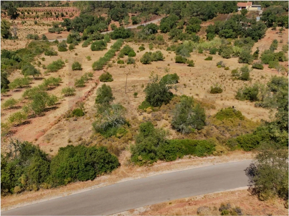 Terreno para Venda em Alte Foto 4