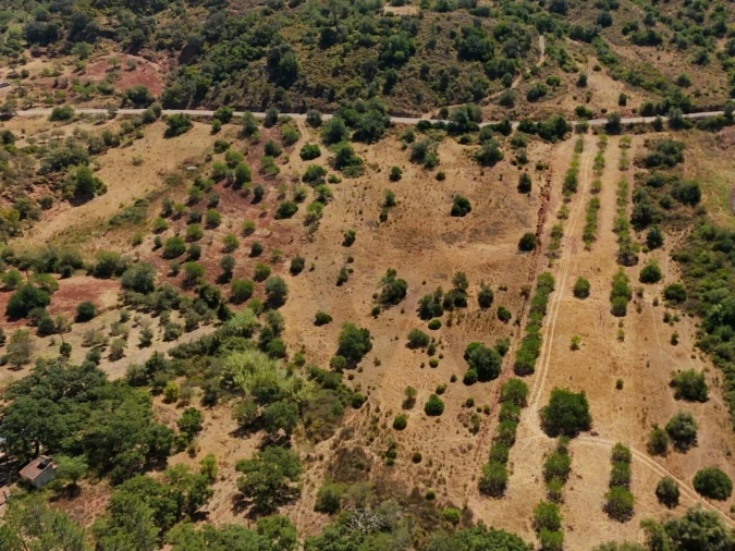 Terreno para Venda em Alte Foto 11