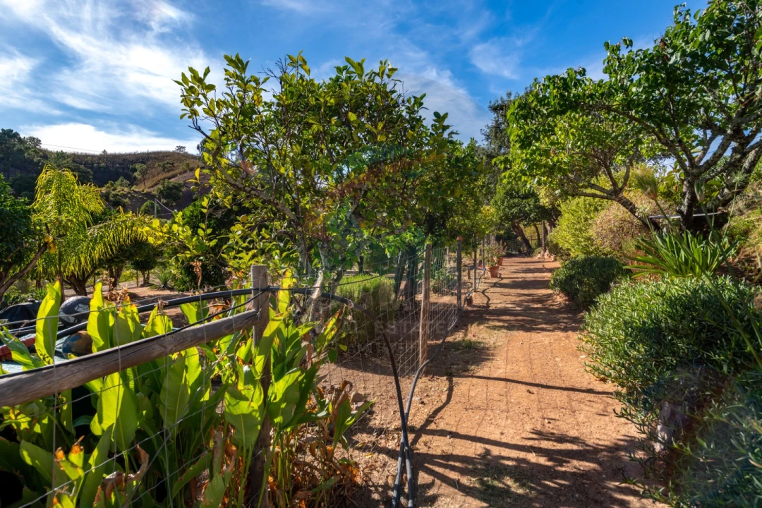 Quinta T3 para Venda em Marmelete Foto 2