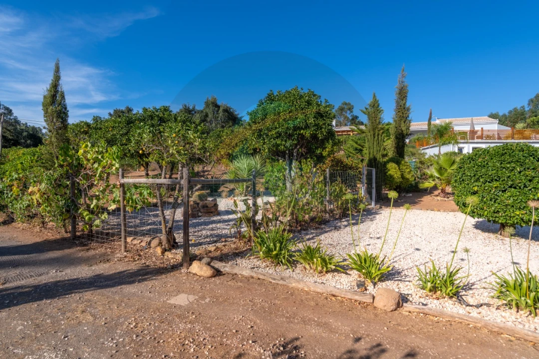 Quinta T3 para Venda em Marmelete Foto 55