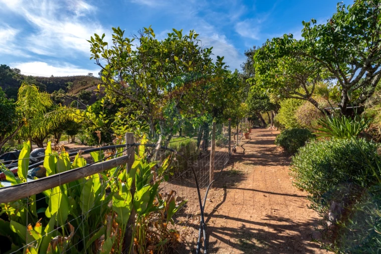 Quinta T3 para Venda em Marmelete Foto 2