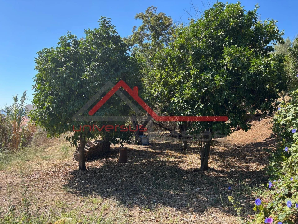 Terreno para Venda em União das Freguesias de Setúbal Foto 11