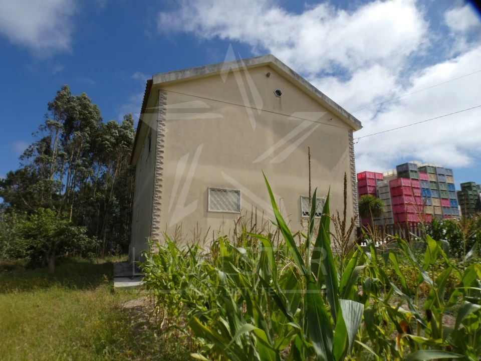 Moradia T2 para Venda em Carvalhal Foto 35