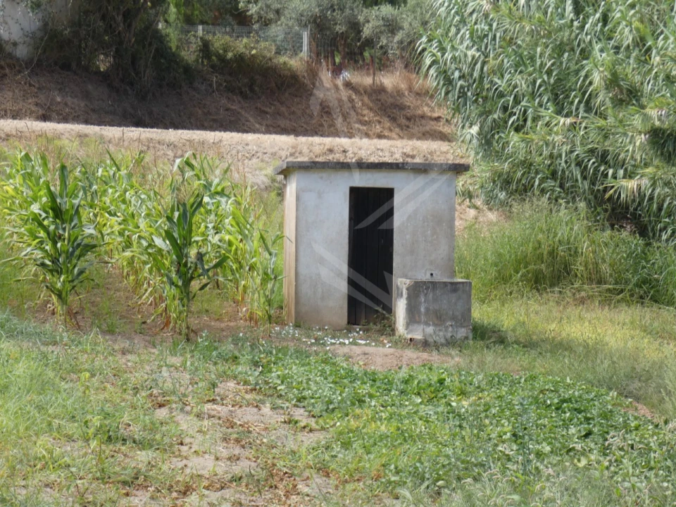 Moradia T2 para Venda em Carvalhal Foto 43