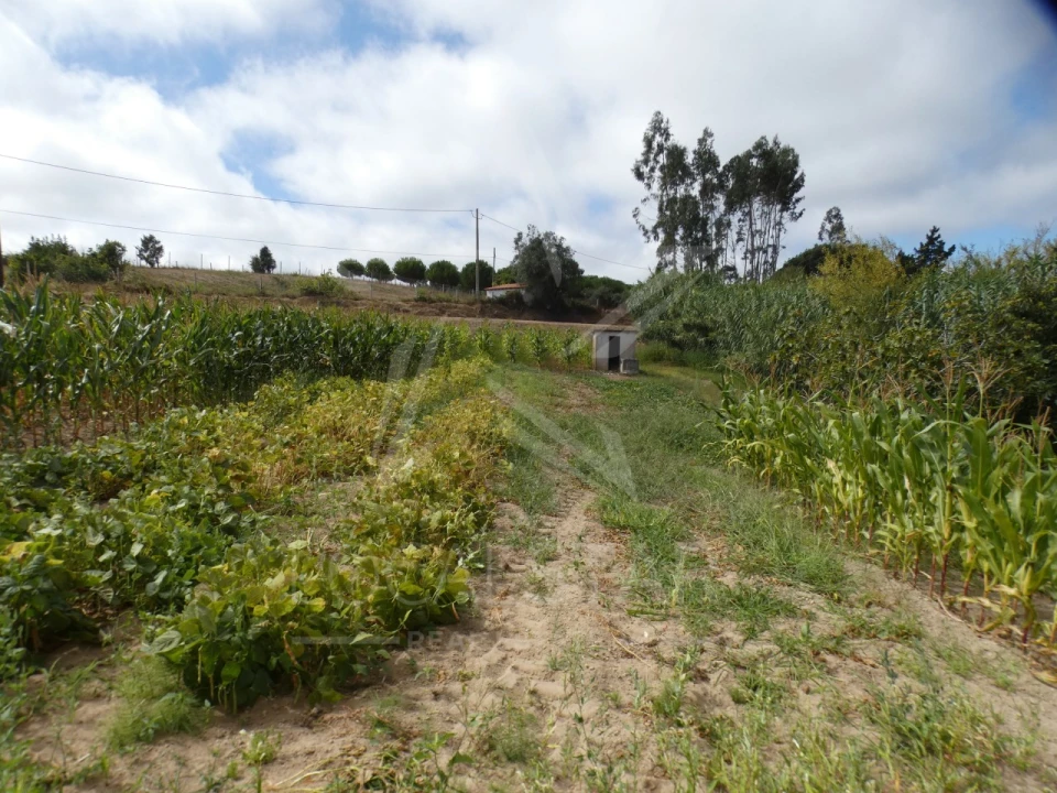 Moradia T2 para Venda em Carvalhal Foto 45