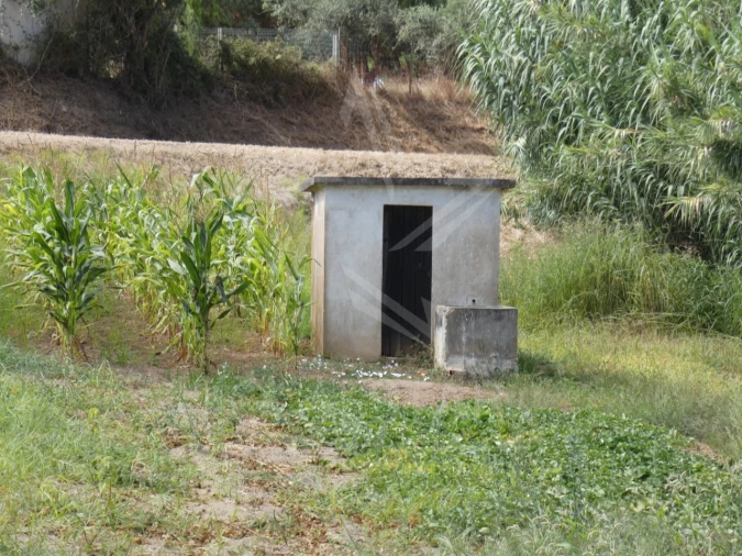 Moradia T2 para Venda em Carvalhal Foto 43