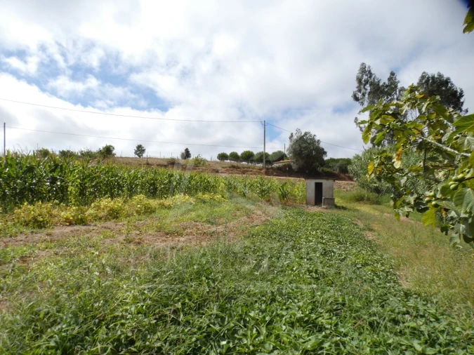 Moradia T2 para Venda em Carvalhal Foto 44