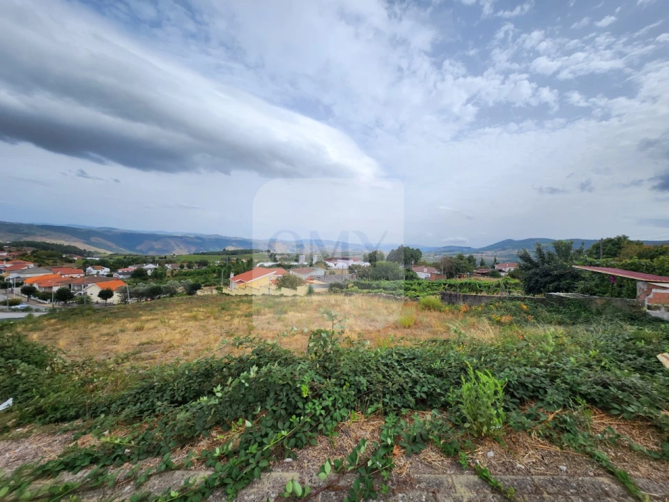 Terreno para Venda em Sabrosa Foto 7