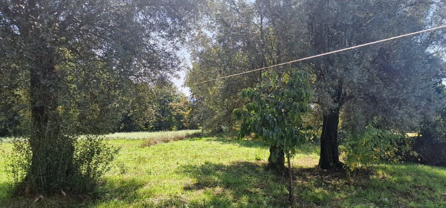 Moradia T8 para Venda em Eira Vedra Foto 38