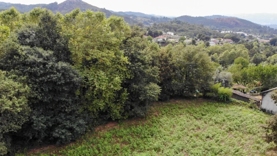 Moradia T8 para Venda em Eira Vedra Foto 29