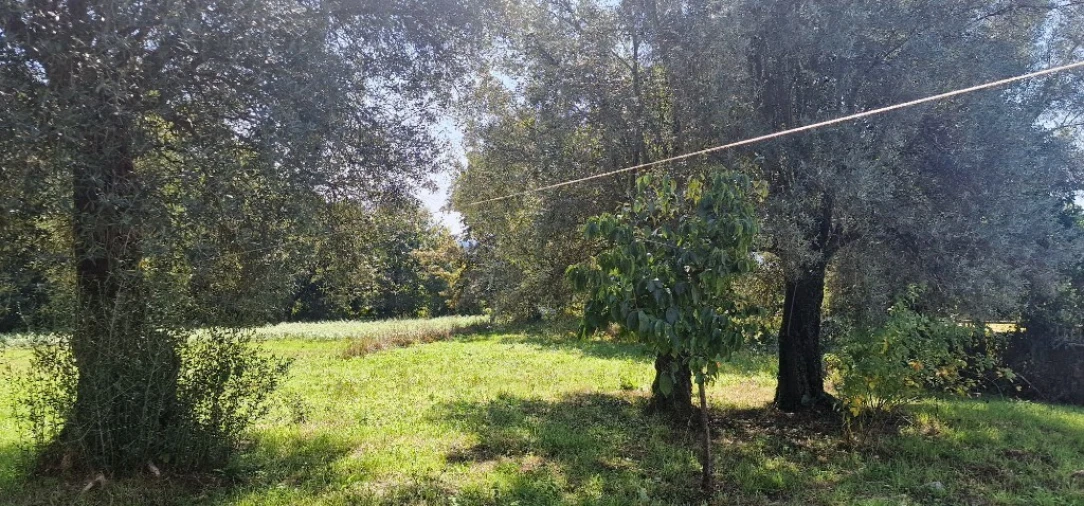 Moradia T8 para Venda em Eira Vedra Foto 38