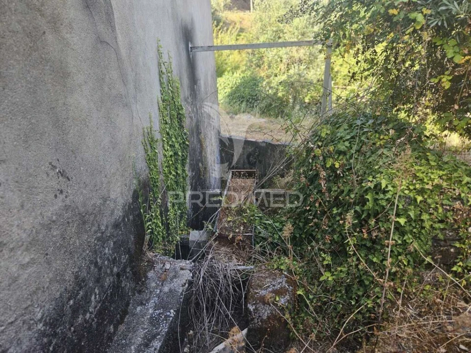 Quinta para Venda em Beco Foto 3