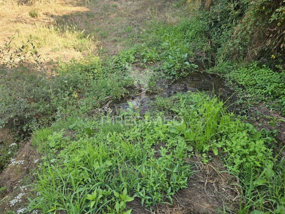 Quinta para Venda em Beco Foto 4