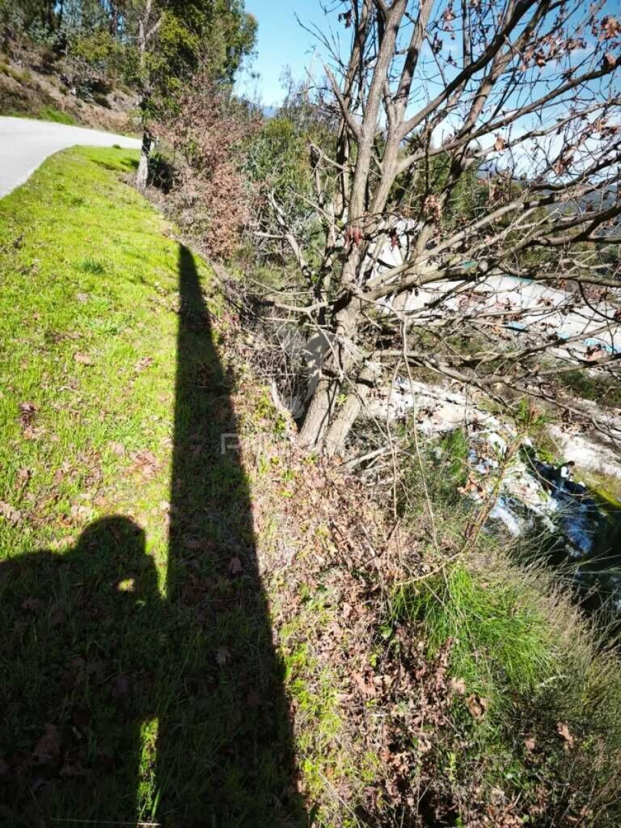 Terreno para Venda em Castanheira de Pêra e Coentral