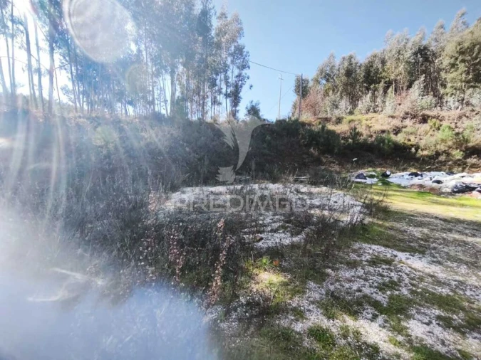 Terreno para Venda em Castanheira de Pêra e Coentral Foto 7
