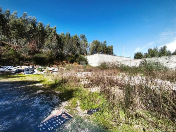 Terreno para Venda em Castanheira de Pêra e Coentral Foto 14