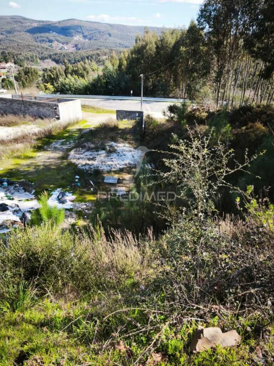 Terreno para Venda em Castanheira de Pêra e Coentral Foto 3