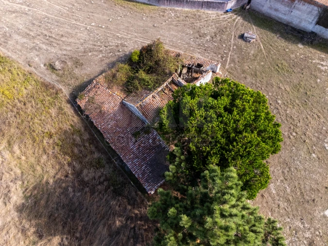 Terreno para Venda em Caldas da Rainha - Santo Onofre e Serra do Bouro Foto 3