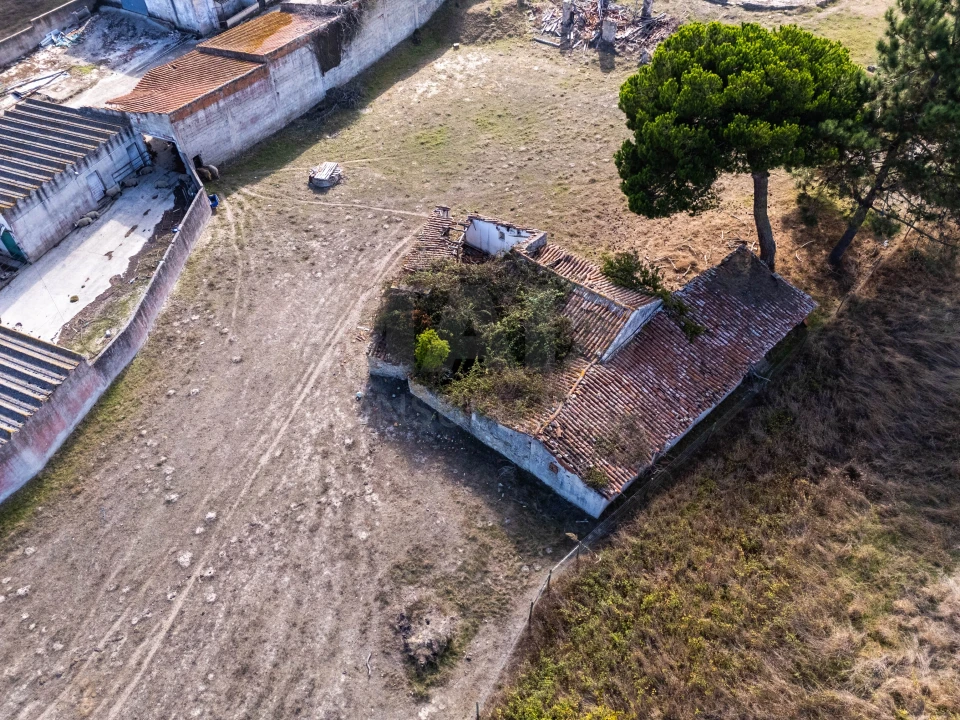 Terreno para Venda em Caldas da Rainha - Santo Onofre e Serra do Bouro Foto 5
