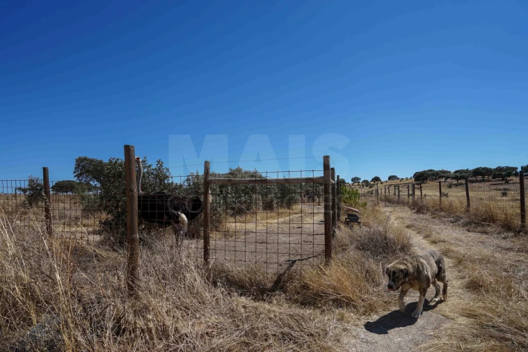 Quinta para Venda em Monsaraz Foto 12