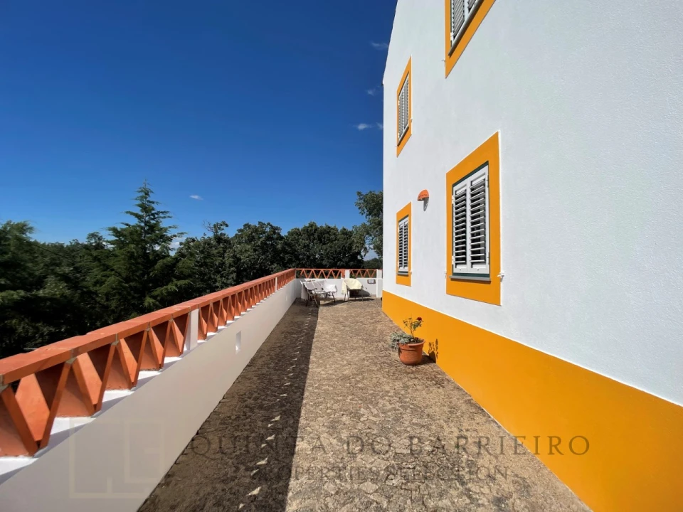 Quinta T12 para Venda em São Salvador da Aramenha Foto 74