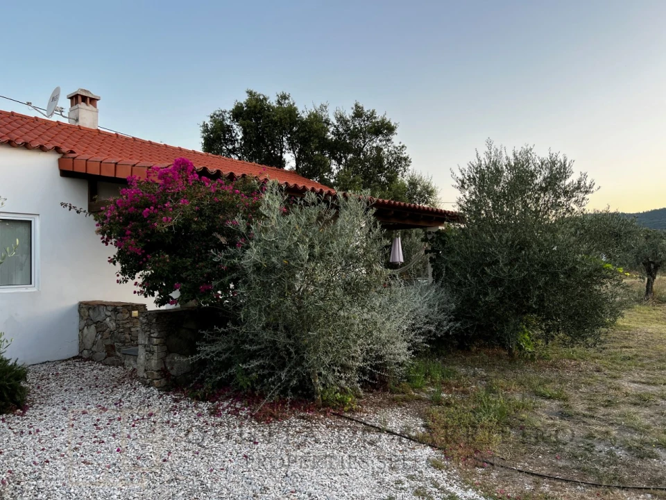Quinta T7 para Venda em Sé e São Lourenço Foto 67