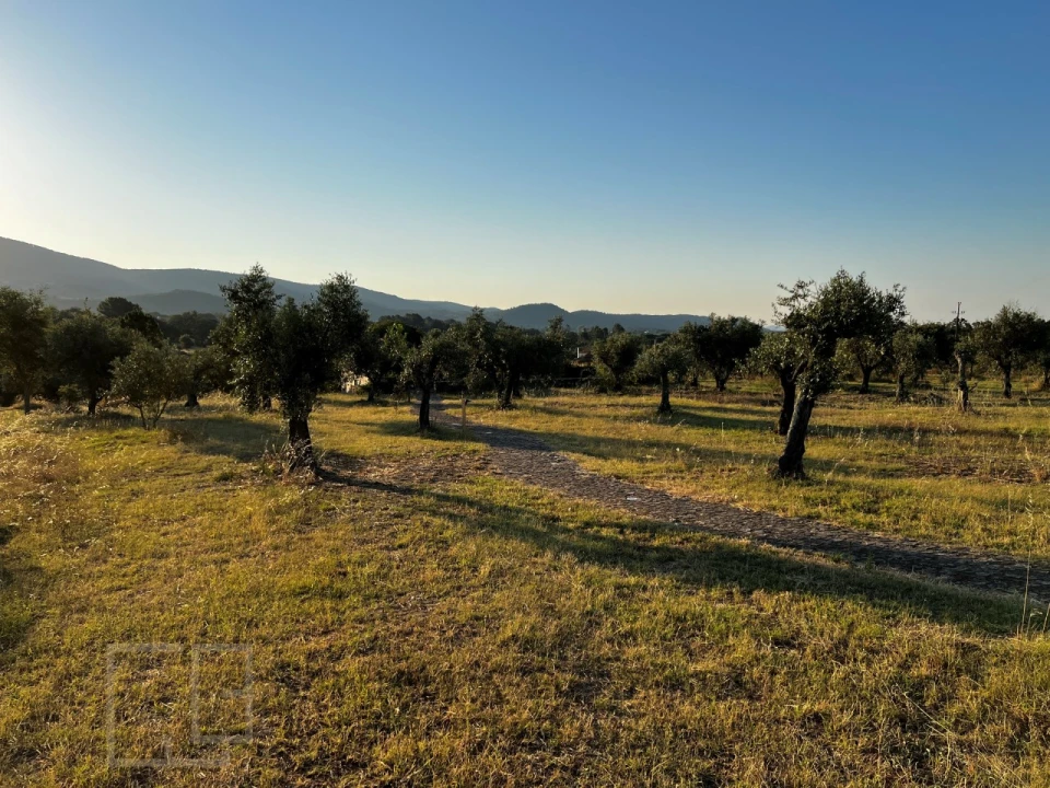 Quinta T7 para Venda em Sé e São Lourenço Foto 77
