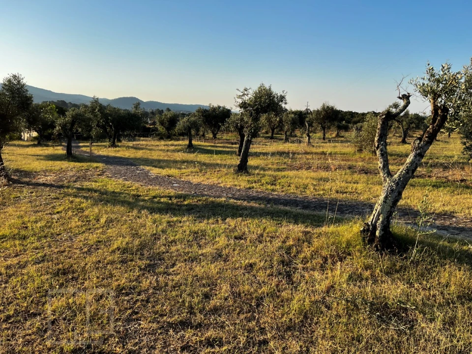 Quinta T7 para Venda em Sé e São Lourenço Foto 78