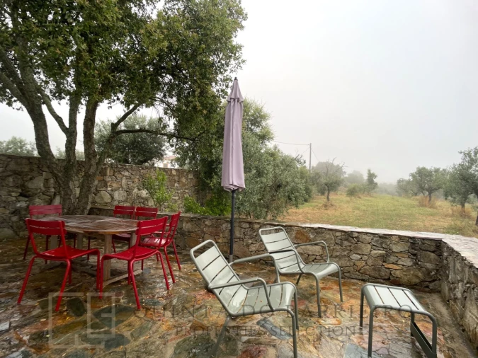 Quinta T7 para Venda em Sé e São Lourenço Foto 46