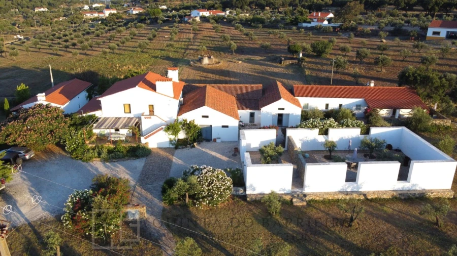 Quinta T7 para Venda em Sé e São Lourenço Foto 3