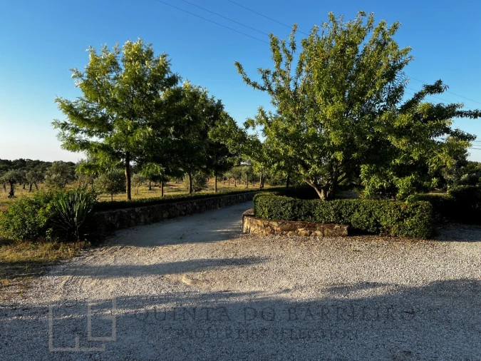 Quinta T7 para Venda em Sé e São Lourenço Foto 9