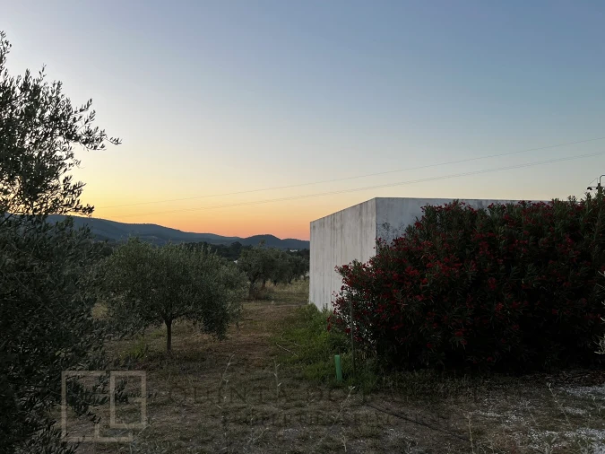 Quinta T7 para Venda em Sé e São Lourenço Foto 70