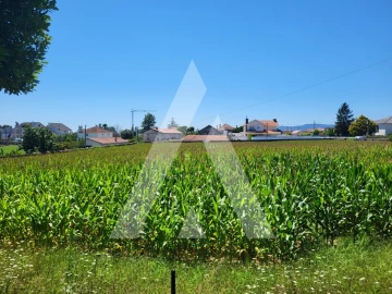 Moradia T7 para Venda em Santa Marta de Portuzelo