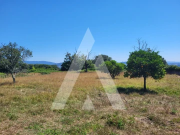 Moradia T7 para Venda em Santa Marta de Portuzelo