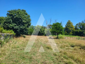 Moradia T7 para Venda em Santa Marta de Portuzelo