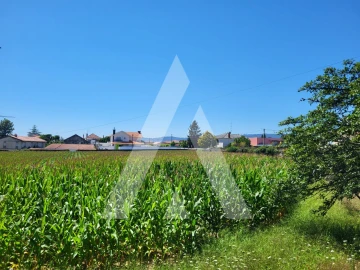 Moradia T7 para Venda em Santa Marta de Portuzelo
