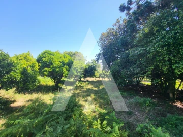 Moradia T7 para Venda em Santa Marta de Portuzelo