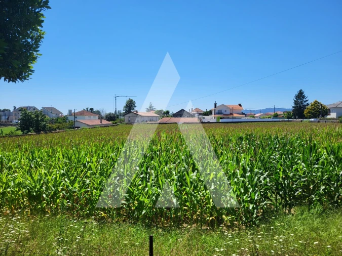Moradia T7 para Venda em Santa Marta de Portuzelo Foto 5