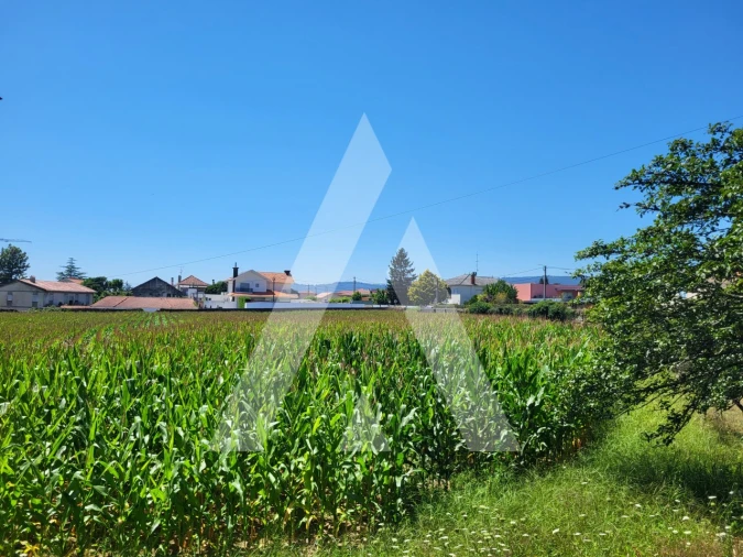Moradia T7 para Venda em Santa Marta de Portuzelo Foto 8
