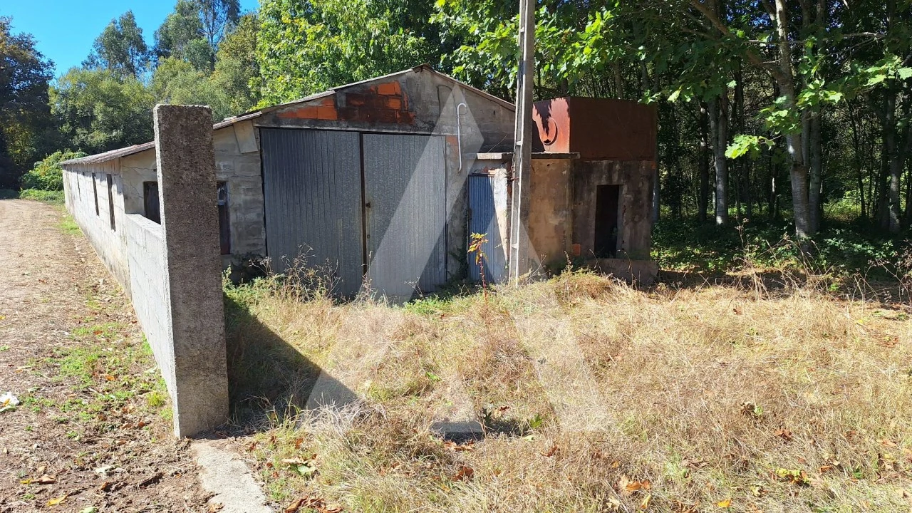 Terreno para Venda em Bordonhos Foto 7